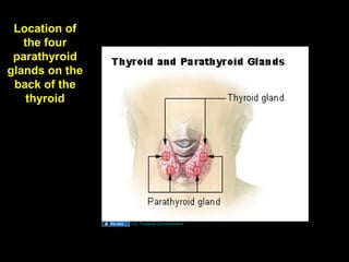 Location of
the four
parathyroid
glands on the
back of the
thyroid
US Federal Government
Aug 26, 2013 Umar Ahmad 68
 