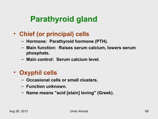 Parathyroid gland
• Chief (or principal) cells
– Hormone: Parathyroid hormone (PTH).
– Main function: Raises serum calcium, lowers serum
phosphate.
– Main control: Serum calcium level.
• Oxyphil cells
– Occasional cells or small clusters.
– Function unknown.
– Name means "acid [stain] loving" (Greek).
Aug 26, 2013 Umar Ahmad 69
 