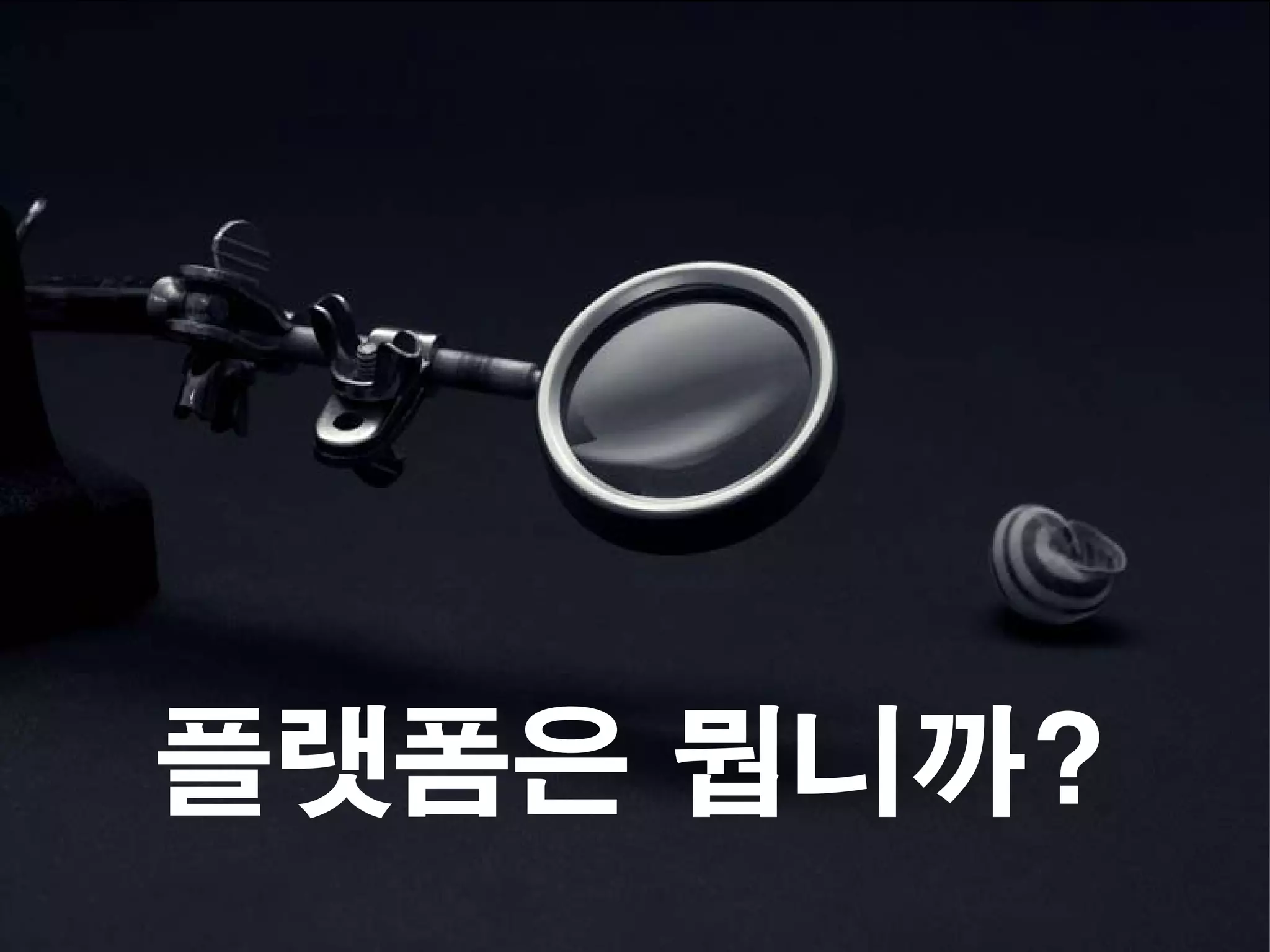 플랫폼은 뭡니까?
 