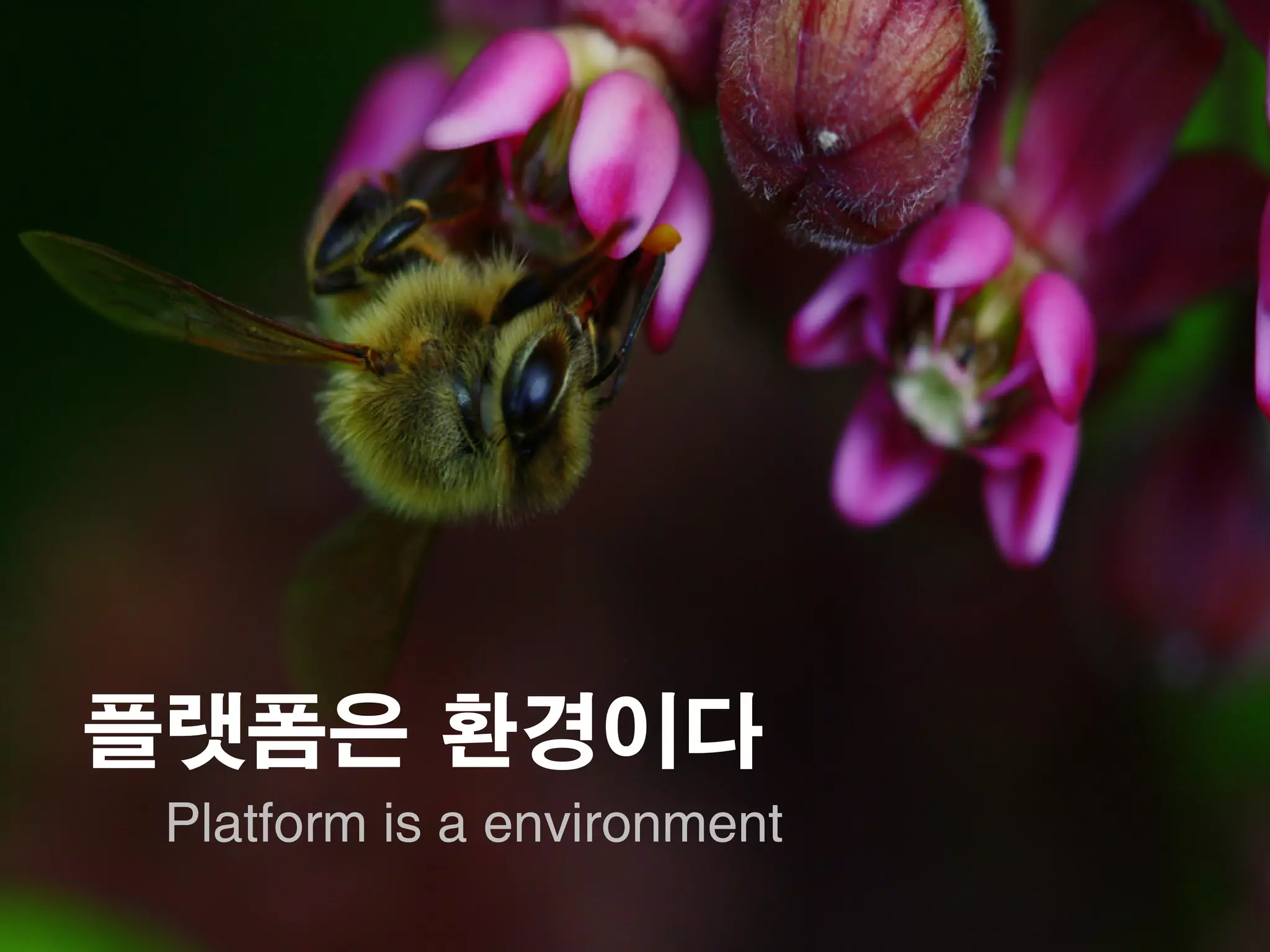 플랫폼은 환경이다
 Platform is a environment
 
