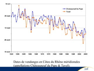 Dates de vendanges en Côtes du Rhône méridionales (appellations Châteauneuf du Pape & Tavel). 
