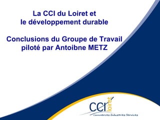 La CCI du Loiret et le développement durable Conclusions du Groupe de Travail piloté par Antoibne METZ 