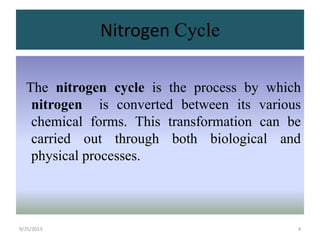 Nitrogen Cycle Class 9