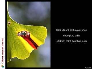 Dễ là khi phê bình người khác,  nhưng khó là khi  cải thiện chính bản thân mình  