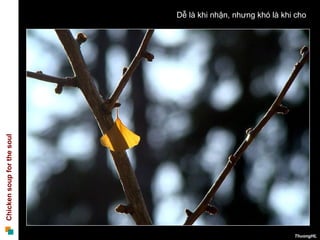 Dễ là khi nhận, nhưng khó là khi cho  