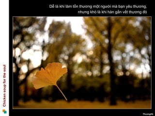 Dễ là khi làm tổn thương một người mà bạn yêu thương,  nhưng khó là khi hàn gắn vết thương đó  