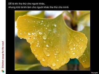 Dễ là khi tha thứ cho người khác,  nhưng khó là khi làm cho người khác tha thứ cho mình  