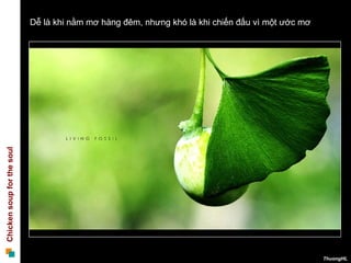 Dễ là khi nằm mơ hàng đêm, nhưng khó là khi chiến đấu vì một ước mơ  