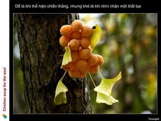 Dễ là khi thể hiện chiến thắng, nhưng khó là khi nhìn nhận một thất bại  