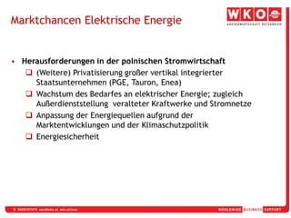 (Weitere) Privatisierung großer vertikal integrierter Staatsunternehmen (PGE, Tauron, Enea)