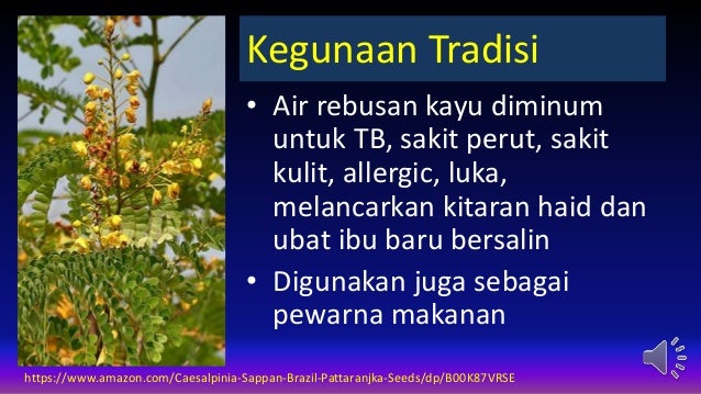 Khasiat Pokok Sepang Khasiat Pokok Sepang