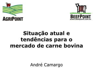 Situação atual e tendências para o mercado de carne bovina André Camargo 