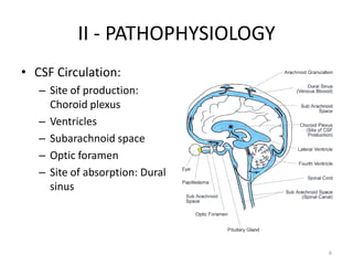 II - PATHOPHYSIOLOGY
• CSF Circulation:
   – Site of production:
     Choroid plexus
   – Ventricles
   – Subarachnoid space
   – Optic foramen
   – Site of absorption: Dural
     sinus




                                  6
 