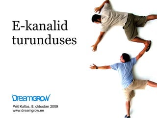 E-kanalid turunduses Priit Kallas, 8. oktoober 2009 www.dreamgrow.ee 