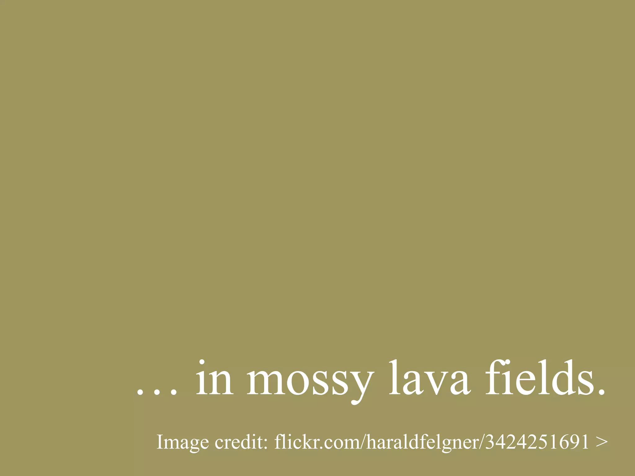 … in mossy lava fields.
Image credit: flickr.com/haraldfelgner/3424251691 >