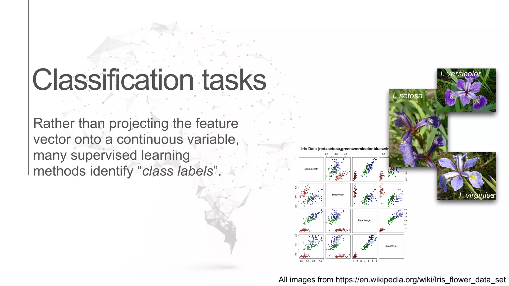 Classification tasks I. setosa
I. virginica
I. versicolor
All images from https://en.wikipedia.org/wiki/Iris_flower_data_set
Rather than projecting the feature
vector onto a continuous variable,
many supervised learning
methods identify “class labels”.
 