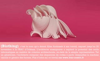 (Biothing) ,   c’est le nom qu’a donné Alisa Andrasek à son travail, exposé jusqu’au 22 novembre à la FRAC d’Orléans. L’architecte enseignante a exploré le potentiel des outils informatiques en matière de création architecturale, au-delà de la simple représentation. Tel un généticien, l’architecte compose des séquences de codes à partir desquelles la machine calcule et génère des formes. Plus d’infos sur ce travail  sur www.frac-centre.fr  