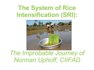 The System of Rice Intensification (SRI): The Improbable Journey of  Norman Uphoff, CIIFAD 