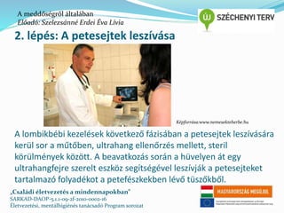 A meddőségről általában 
Előadó: Szelezsánné Erdei Éva Lívia 
2. lépés: A petesejtek leszívása 
Képforrása:www.nemesekteherbe.hu 
A lombikbébi kezelések következő fázisában a petesejtek leszívására 
kerül sor a műtőben, ultrahang ellenőrzés mellett, steril 
körülmények között. A beavatkozás során a hüvelyen át egy 
ultrahangfejre szerelt eszköz segítségével leszívják a petesejteket 
tartalmazó folyadékot a petefészkekben lévő tüszőkből. 
„Családi életvezetés a mindennapokban” 
SARKAD-DAOP-5.1.1-09-2f-2010-0002-16 
Életvezetési, mentálhigiénés tanácsadó Program sorozat 
 