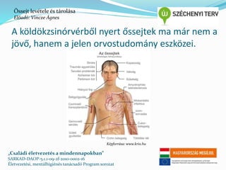 Őssejt levétele és tárolása 
Előadó: Vincze Ágnes 
A köldökzsinórvérből nyert őssejtek ma már nem a 
jövő, hanem a jelen orvostudomány eszközei. 
Képforrása: www.krio.hu 
„Családi életvezetés a mindennapokban” 
SARKAD-DAOP-5.1.1-09-2f-2010-0002-16 
Életvezetési, mentálhigiénés tanácsadó Program sorozat 
 