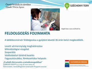 Őssejt levétele és tárolása 
Előadó: Vincze Ágnes 
FELDOLGOZÁS FOLYAMATA 
A köldökzsinórvér feldolgozása a gyűjtést követő 36 órán belül megkezdődik. 
Levett vérmennyiség meghatározása 
Mikrobiológiai vizsgálat 
Szeparálás 
Védőoldattal történő kezelés 
Fagyasztózsákba, fémkazettába helyezés 
„Családi életvezetés a mindennapokban” 
SARKAD-DAOP-5.1.1-09-2f-2010-0002-16 
Életvezetési, mentálhigiénés tanácsadó Program sorozat 
Képforrása: www.noihirek.hu 
 