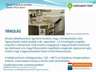 Őssejt levétele és tárolása 
Előadó: Vincze Ágnes 
TÁROLÁS 
Képforrása: www.babasmamas.hu 
Minden köldökzsinórvér úgy kerül tárolásra, hogy, a fémkazettában lévő 
fagyasztózsák mellett további 4 db., egyenként , 1,5 ml térfogatú vizsgálati 
ampullát is elhelyeznek. Ezek tartalma megegyezik a fagyasztózsák tartalmával, 
így alkalmasak arra, hogy felhasználást megelőzően vizsgálatot végezzenek rajta, 
anélkül, hogy a fagyasztózsákban tárolt mintát felolvasztanák. 
A köldökzsinórvér mélyfagyasztása -150 – 196 0C-on folyékony nitrogén gőzben 
történik, amely teljesen kizárja a tárolás alatti befertőződést. 
„Családi életvezetés a mindennapokban” 
SARKAD-DAOP-5.1.1-09-2f-2010-0002-16 
Életvezetési, mentálhigiénés tanácsadó Program sorozat 
 