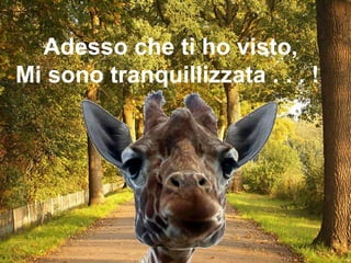 Adesso che ti ho visto, Mi sono tranquillizzata . . . !  