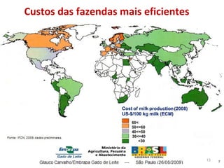 Fonte: IFCN (2008) Custos das fazendas mais eficientes 