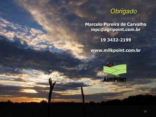Marcelo Pereira de Carvalho [email_address] 19 3432-2199 www.milkpoint.com.br Obrigado 