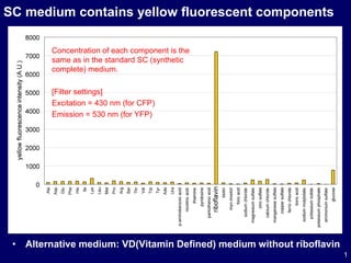 SC medium contains yellow fluorescent components ,[object Object],Concentration of each component is the same as in the standard SC (synthetic complete) medium. [Filter settings] Excitation = 430 nm (for CFP) Emission = 530 nm (for YFP) 