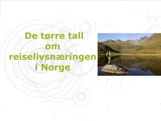 Innovasjon Norges reiselivssatsing 2010