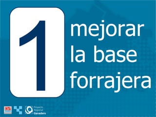 mejorar  la base  forrajera 1 