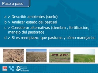 Paso a paso a > Describir ambientes (suelo) b > Analizar estado del pastizal c > Considerar alternativas (siembra , fertilización, manejo del pastoreo) d > Si es reemplazo: qué pasturas y cómo manejarlas  