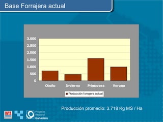 Base Forrajera actual Producción promedio: 3.718 Kg MS / Ha 