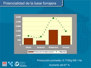 Potencialidad de la base forrajera Producción promedio: 6.172Kg MS / Ha Aumento del 67 % 