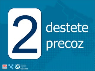 destete precoz 2 