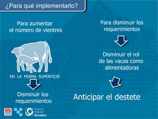 Para aumentar  el número de vientres Disminuir los  requerimientos EN  LA  MISMA  SUPERFICIE ¿Para qué implementarlo? Para disminuir los requerimientos Disminuir el rol de las vacas como alimentadoras Anticipar el destete 