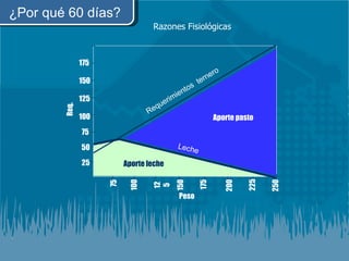 Razones Fisiológicas ¿Por qué 60 días? Aporte pasto 75 100 150 125 175 200 250 225 25 50 75 100 125 150 175 Req. Peso Aporte leche Leche Requerimientos  ternero 
