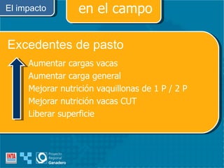 El impacto en el campo Aumentar cargas vacas Aumentar carga general Mejorar nutrición vaquillonas de 1 P / 2 P Mejorar nutrición vacas CUT Liberar superficie Excedentes de pasto 