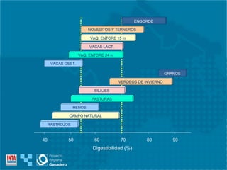 ENGORDE NOVILLITOS Y TERNEROS VAQ. ENTORE 15 m VACAS LACT. VAQ. ENTORE 24 m VACAS GEST. GRANOS VERDEOS DE INVIERNO SILAJES PASTURAS HENOS CAMPO NATURAL RASTROJOS 40 50 60 70 80 90 Digestibilidad (%) 