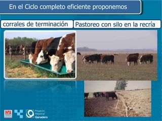 En el Ciclo completo eficiente proponemos Pastoreo con silo en la recría corrales de terminación 