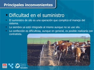 Dificultad en el suministro El suministro de silo es una operación que complica el manejo del sistema. La siembra ya está integrada al mismo aunque no se use silo. La confección es dificultosa, aunque   en general, es posible realizarla con contratista. Principales inconvenientes 