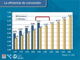 Elizalde, J.C. 2001 La eficiencia de conversión 