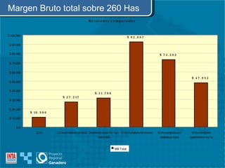Margen Bruto total sobre 260 Has 