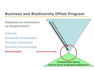 Business and Biodiversity Offset Program Йерархия на намаляване  на въздействието : Избягвай Намалявай, минимизирай Спасявай  ( пренасяне ) Поправяй, възстановявай Компенсирай Положителен принос ( Нетна полза за биоразнообразието ) Намалявай въздействието до  нула 