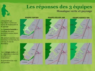 Les réponses des 3 équipes
Mosaïque verte et paysage
2 dispositifs qui
répondent à la fois aux
enjeux de biodiversité et
de paysage
La « prairie humide »
(stockage des eaux
pluviales) comme espace
protégé
Elle permet aussi des vues
lointaines vers les bois, les
coteaux, la tour de
Montlhéry
Les « doigts verts » et
la « clairière » réservés
aux piétons et
écosystèmes
Ils permettent des vues
plus proches
EQUIPE FORTIER EQUIPE ATELIER JAM EQUIPE AGENCE TER
 