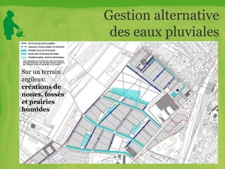 Gestion alternative
des eaux pluviales
Sur un terrain
argileux:
créations de
noues, fossés
et prairies
humides
 