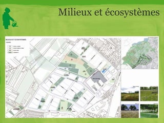 Milieux et écosystèmes
 