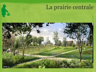 La prairie centrale
 