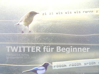 TWITTER für Beginner Treibhaus 0.8. Vortrag  Dorothea Martin. 23.11.2009 1 ©Fensterdeko Choriner Straße 